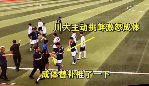 成都体育学院爆料视频曝光,揭秘校园内幕 第1张 成都体育学院爆料视频曝光,揭秘校园内幕 第1张