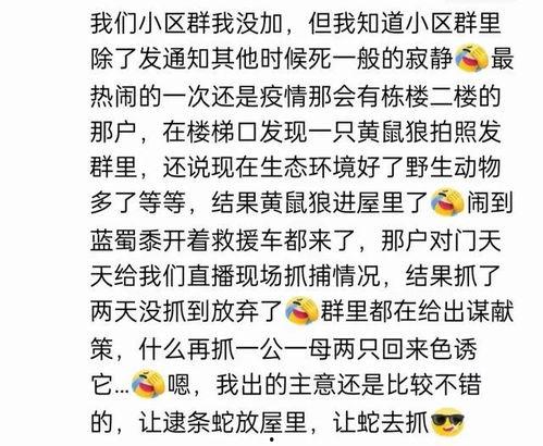 娱乐吃瓜群名叫什么名字,揭秘“娱乐吃瓜群”背后的热点事件与趣味瞬间  第2张