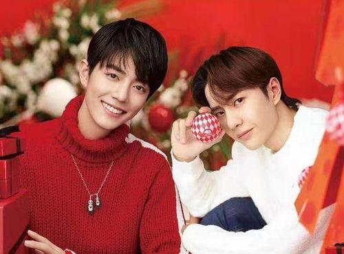 娱乐圈吃瓜爆料四字弟弟,揭秘明星背后的故事  第3张